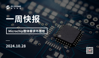 一周快报20241028